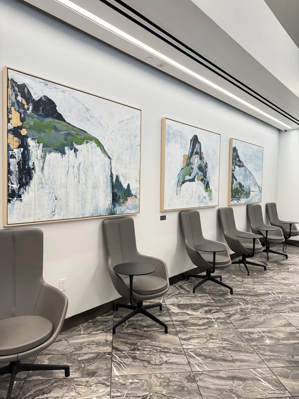 Air Canada Maple Leaf Lounge New York JFK